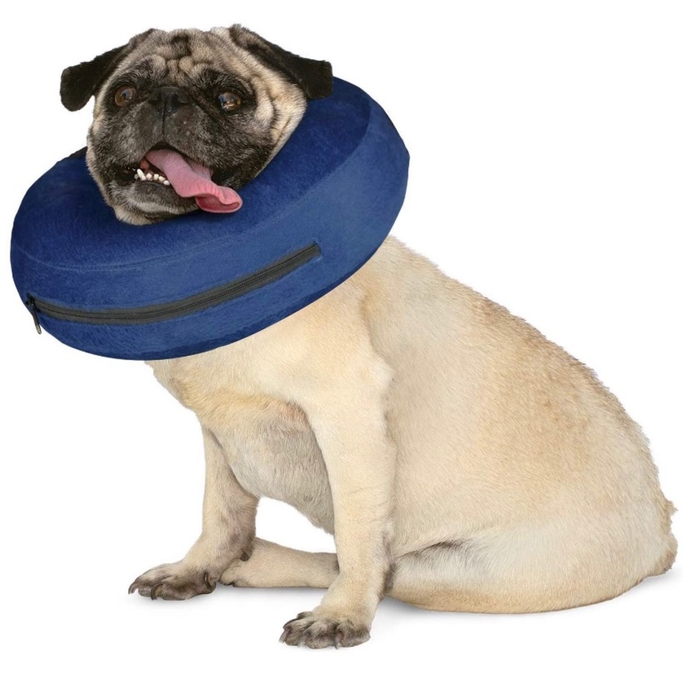 Inflatable protective collar.